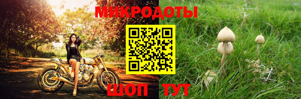 Мариинск  Псилоцибиновые грибы Psilocybe  Вход с VPN  Псилоцибиновые грибы Psilocybe 
